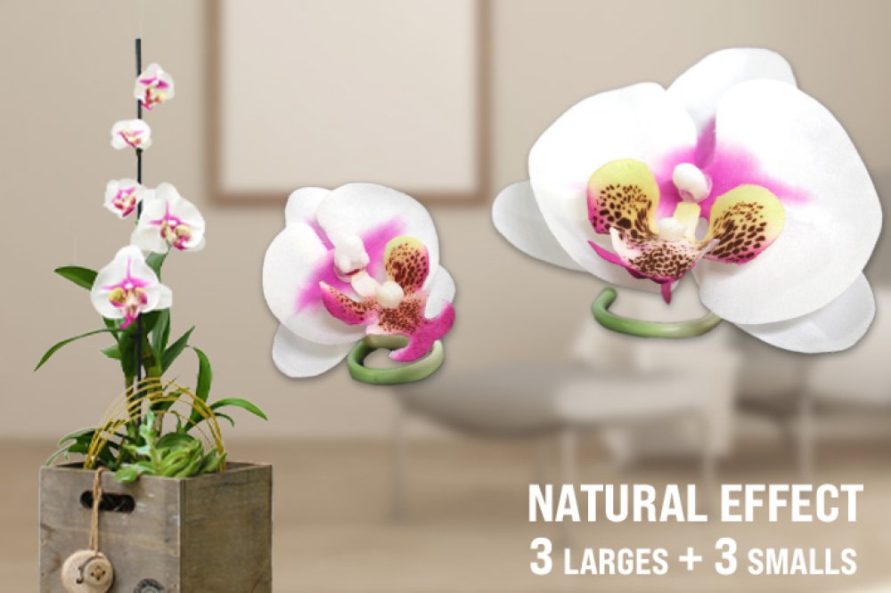 Set di 6 orchidee decorative a clip, bianche/rosa.